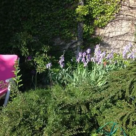à Néris-les-bains - 30 M² - Jardin Privé Néris-les-Bains