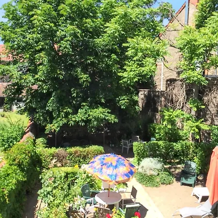 à Néris-les-bains - 30 M² - Jardin Privé * Néris-les-Bains
