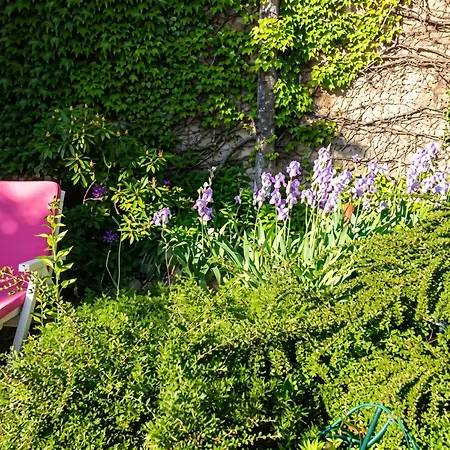 Appartement à Néris-les-bains - 30 M² - Jardin Privé *